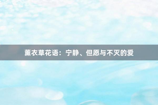薰衣草花语：宁静、但愿与不灭的爱