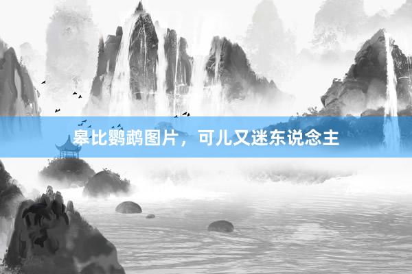 皋比鹦鹉图片，可儿又迷东说念主
